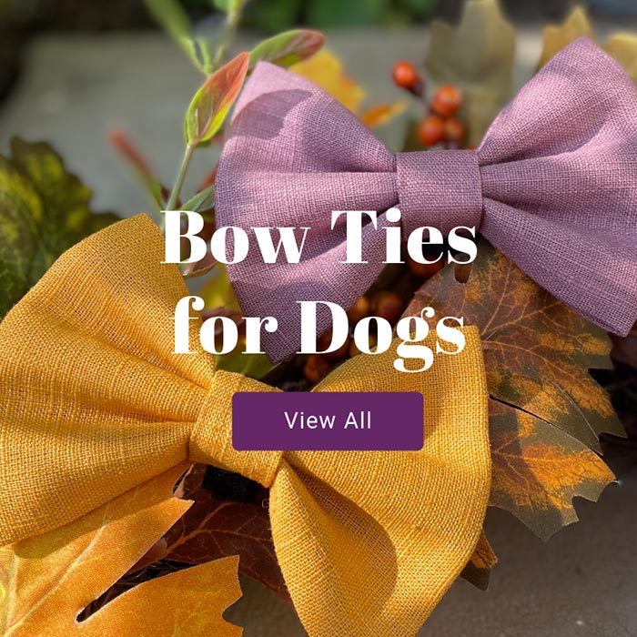 Bow ties for dogs view all