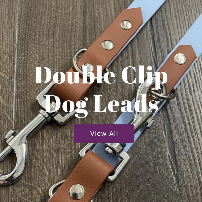 Double Clip Dog Leads View All