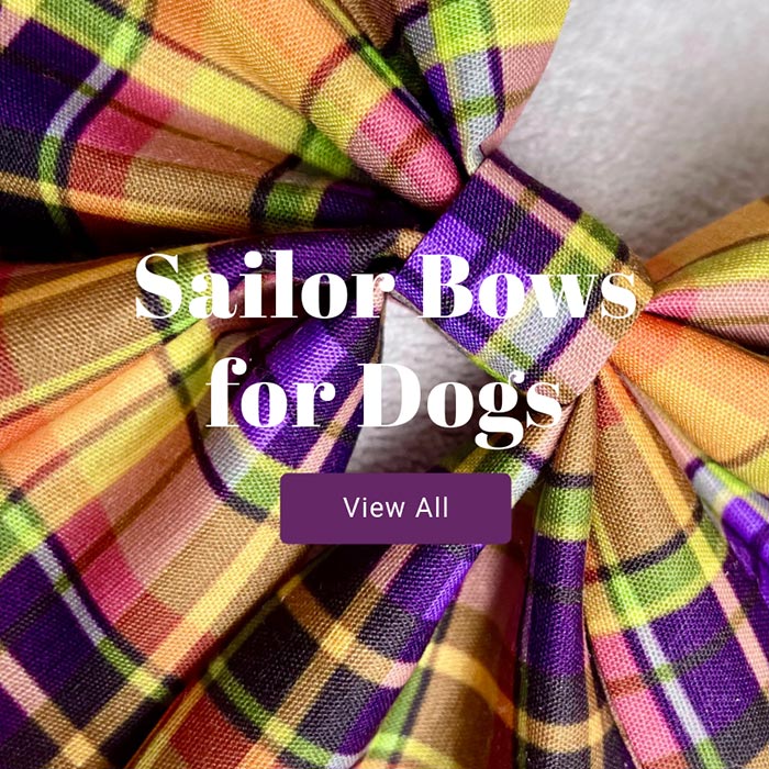 Sailor bows for dogs view all