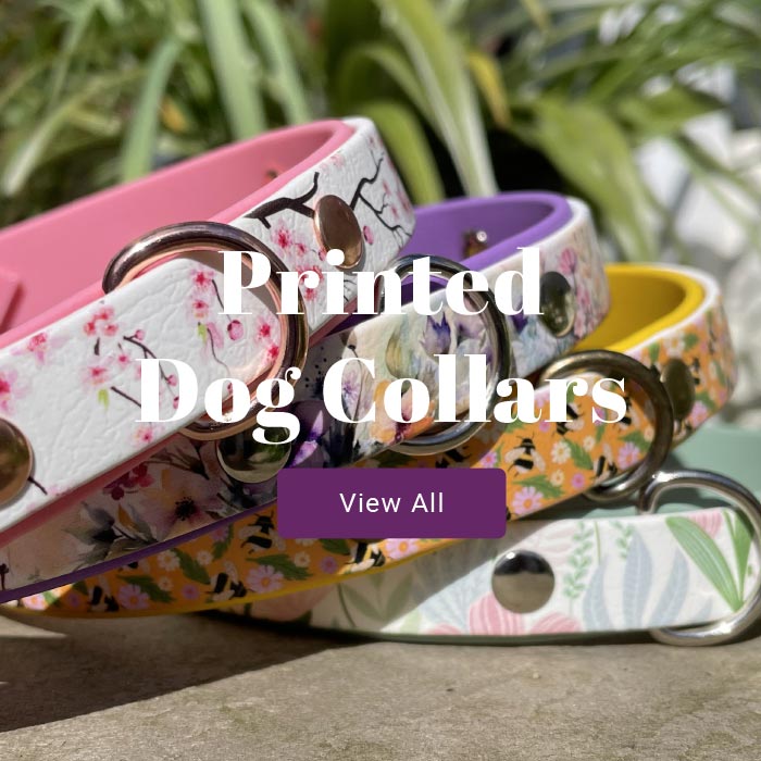 Printed Waterproof Dog Collars