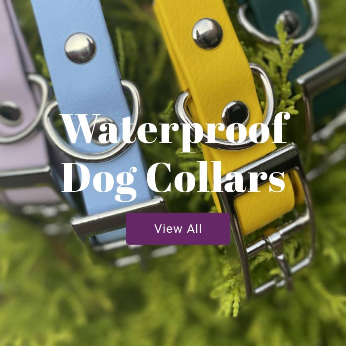 Waterproof dog collars view all