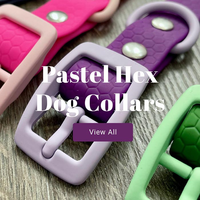 Pastel hex dog collars view all