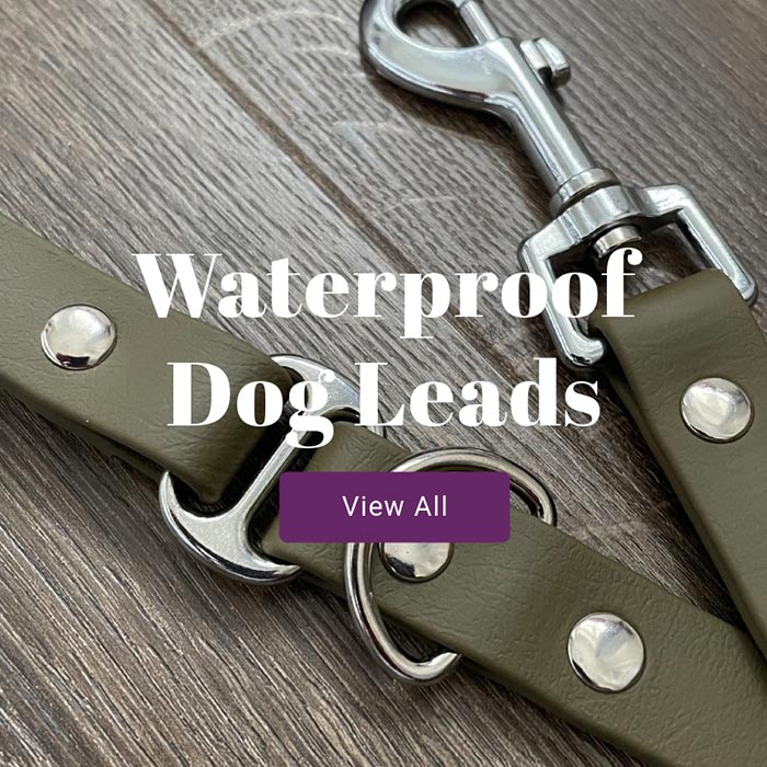 Waterproof dog leads view all