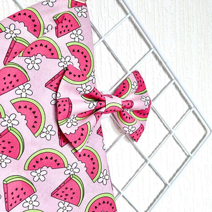 A Slice of Summer Watermelon Dog Bow Tie and Sailor Bow