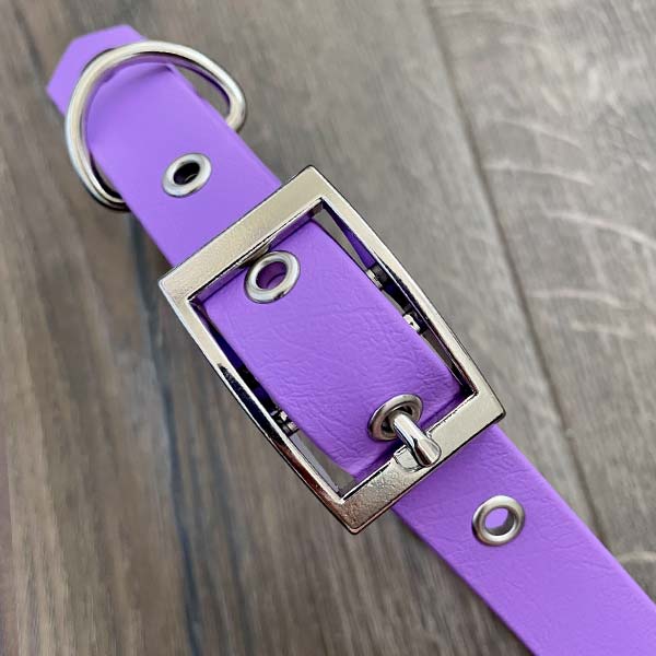 Amethyst Purple Waterproof Dog Collar