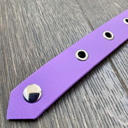 Amethyst Purple Waterproof Dog Collar