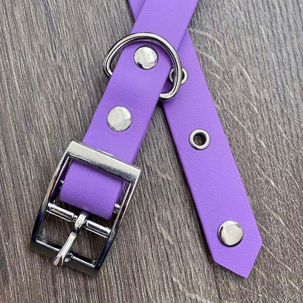 Amethyst Purple Waterproof Dog Collar