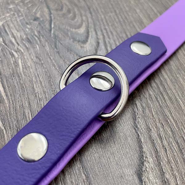 Amethyst Purple Waterproof Dog Collar