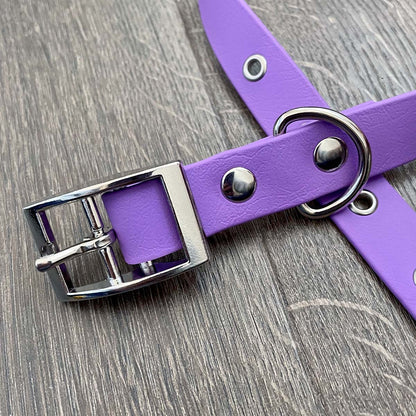 Amethyst Purple Waterproof Dog Collar