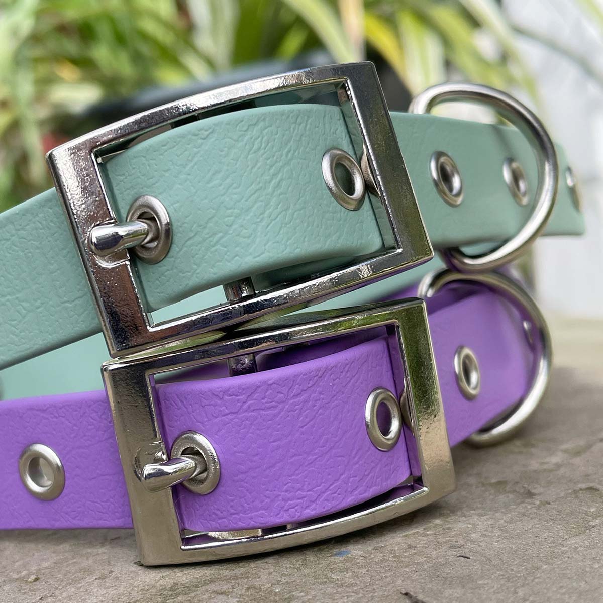 Sage Green Waterproof Dog Collar