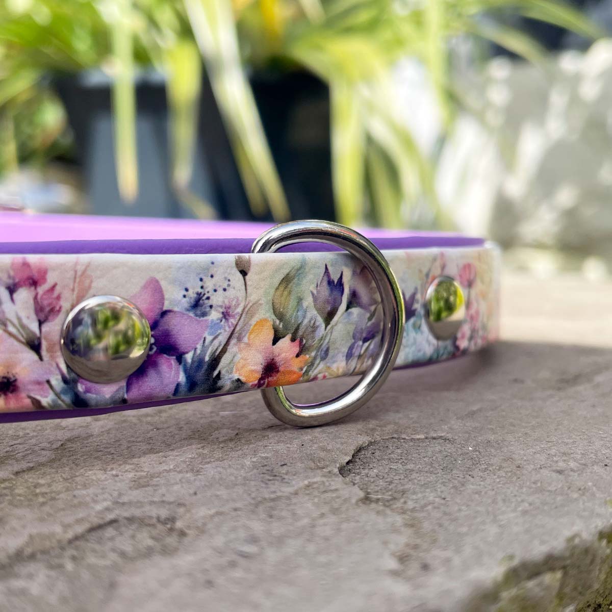 Amongst the Wildflowers Printed Purple Dog Collar