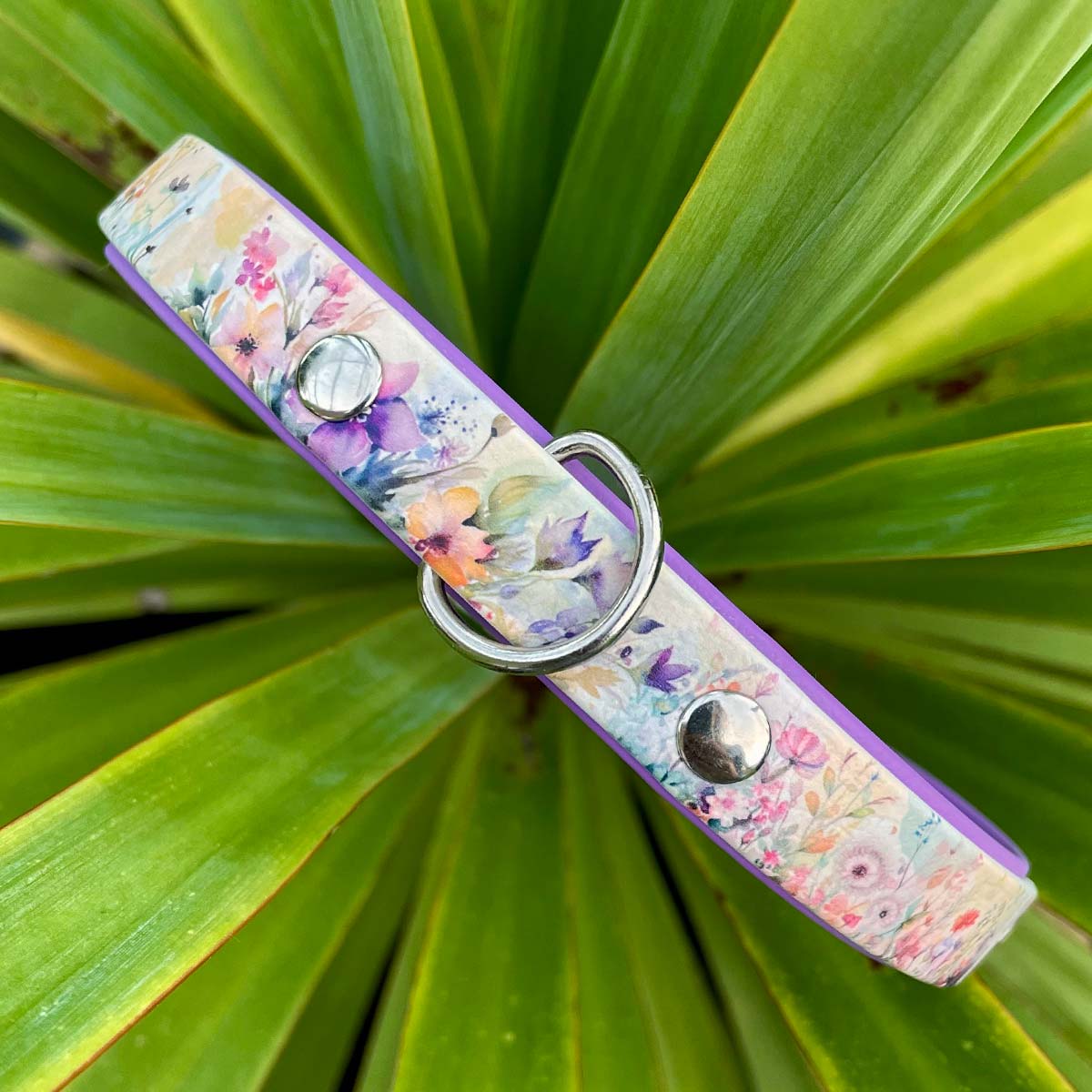 Amongst the Wildflowers Printed Purple Dog Collar