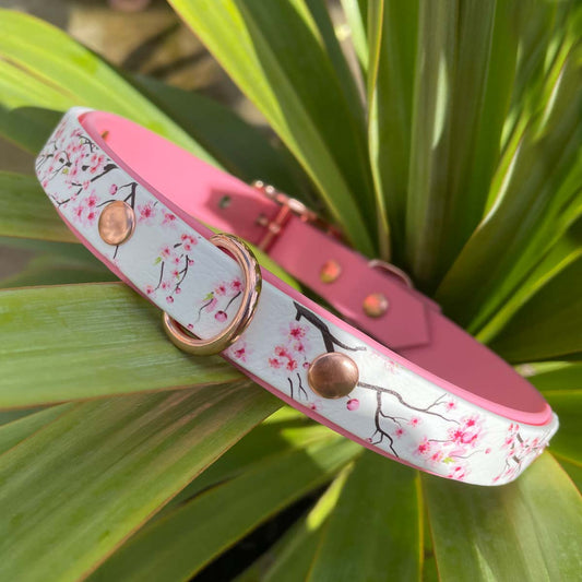 Blooming Blossom Printed Pink Dog Collar