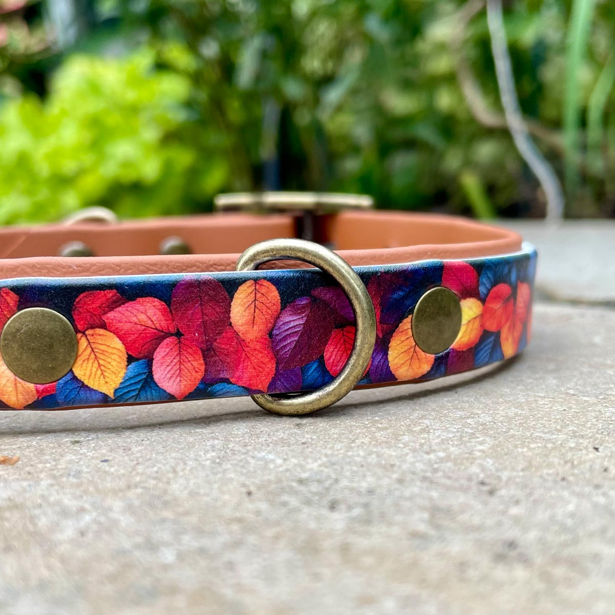 Crispy Crunchy Leaves Patterned Dog Collar