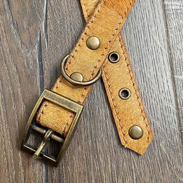 Golden Leather Dog Collar