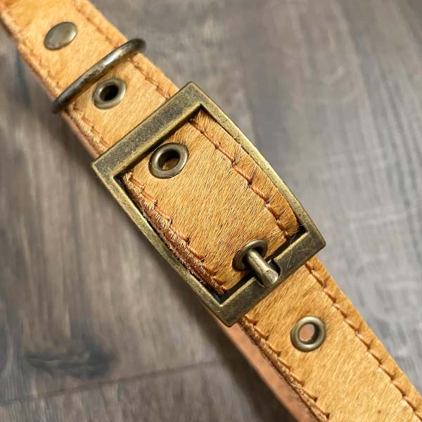 Golden Leather Dog Collar