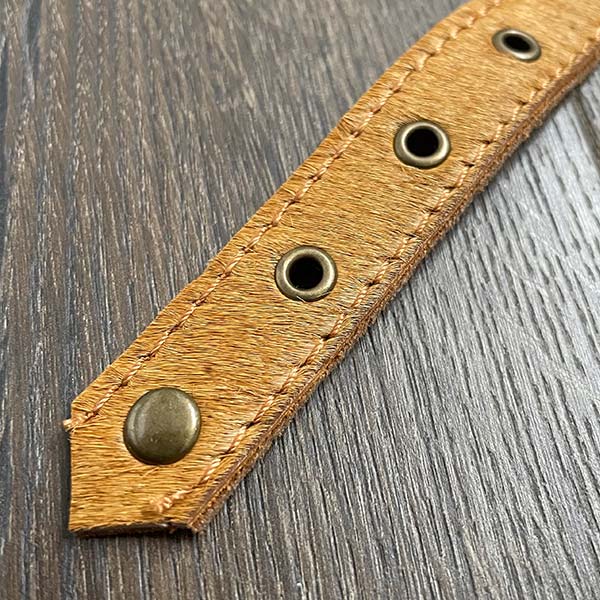 Golden Leather Dog Collar