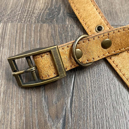 Golden Leather Dog Collar