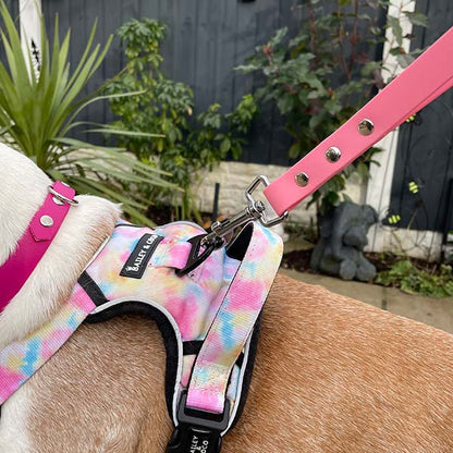 Grab 'n' Go Dog Training Handles