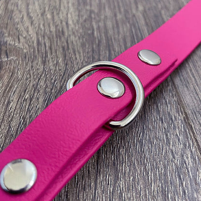 Magenta Pink Waterproof Dog Collar