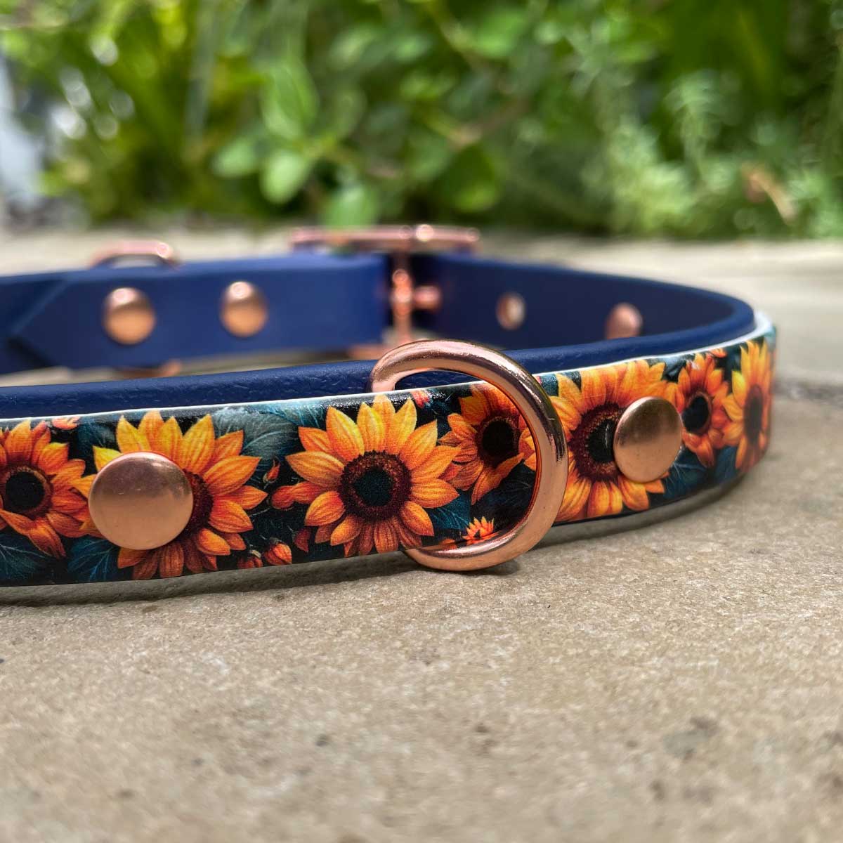 Midnight Sunflowers Printed Navy Dog Collar