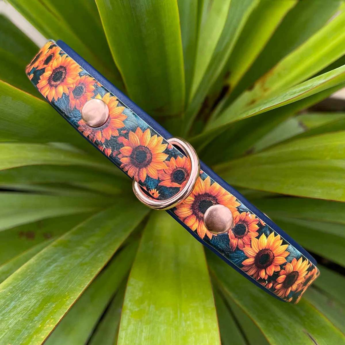 Midnight Sunflowers Printed Navy Dog Collar