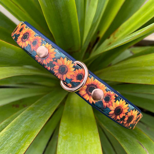 Midnight Sunflowers Printed Navy Dog Collar