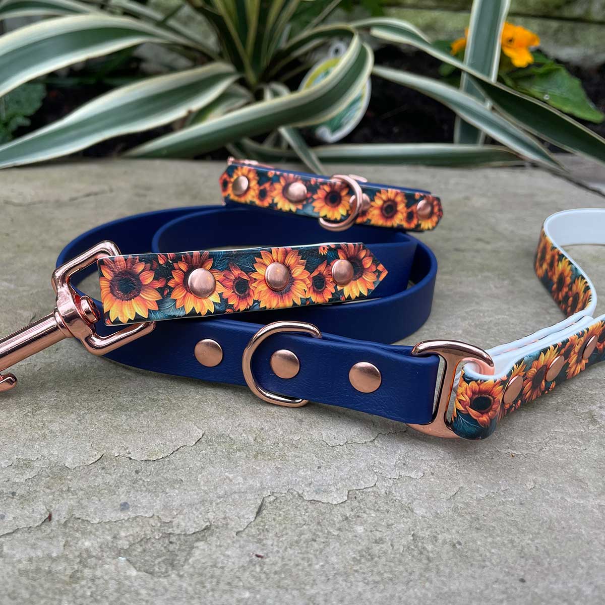 Patterned Waterproof Dog Leads