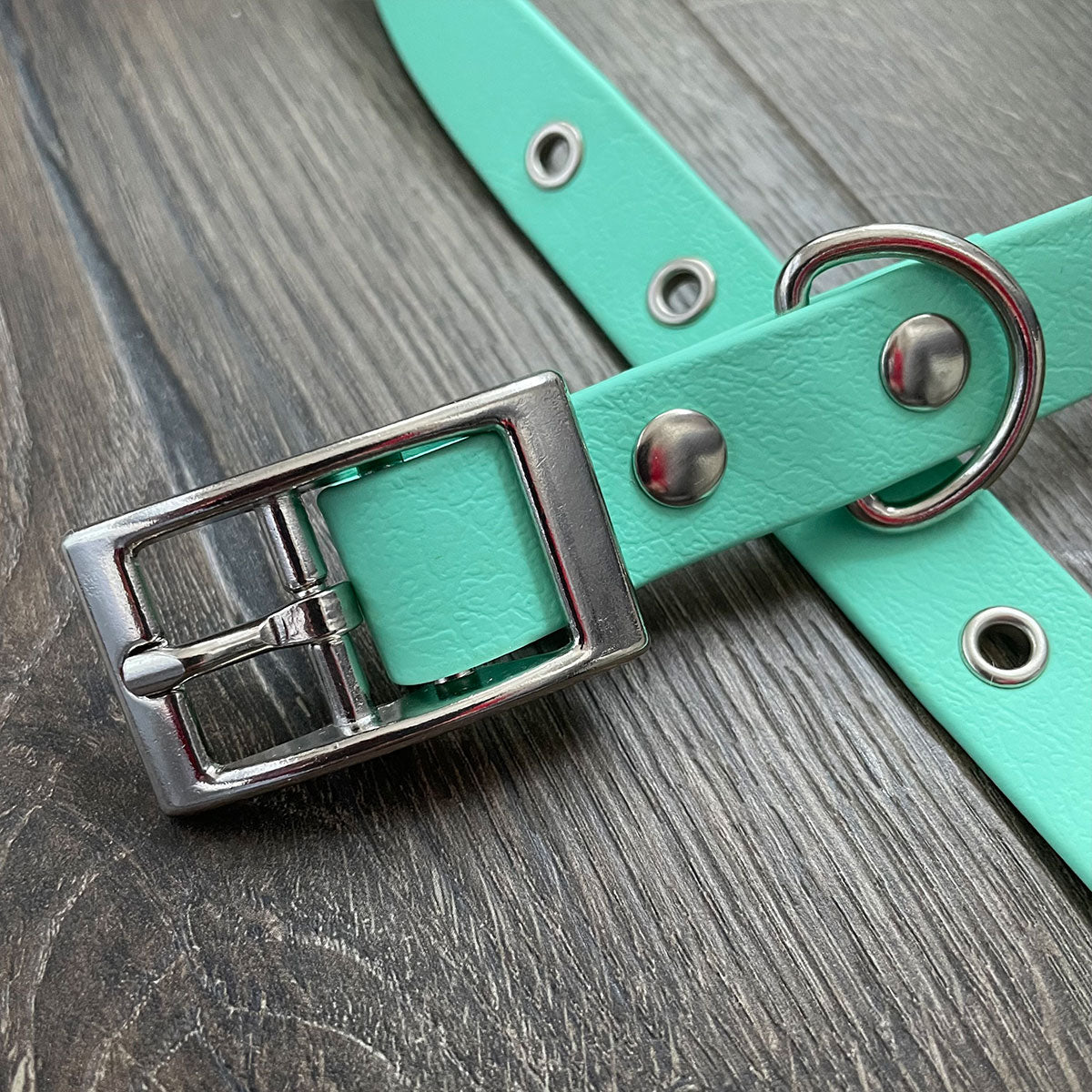 Mint Waterproof Dog Lead