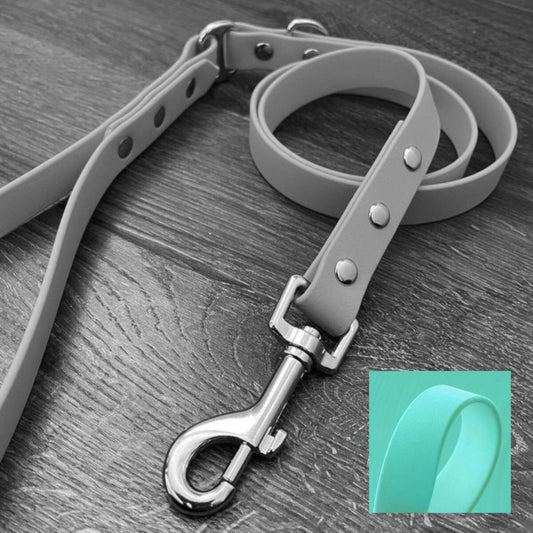 Mint Waterproof Dog Lead