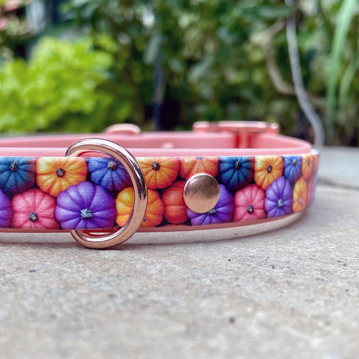 Pumpkin Patch Patterned Dog Collar