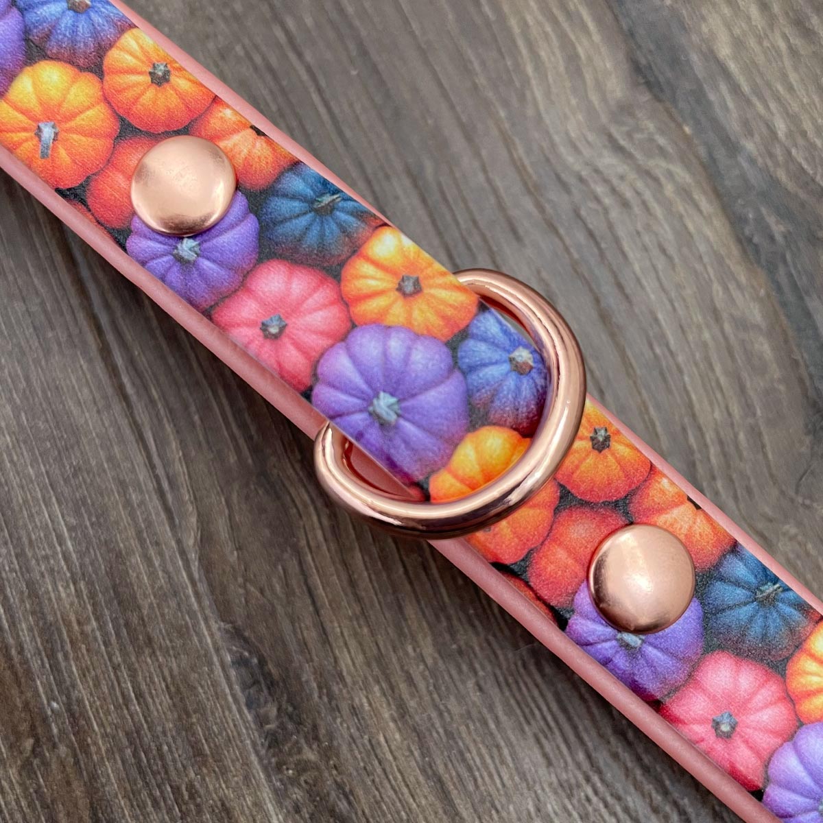 Pumpkin Patch Patterned Dog Collar