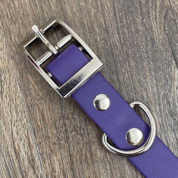 Purple Marigolds Patterned Dog Collar