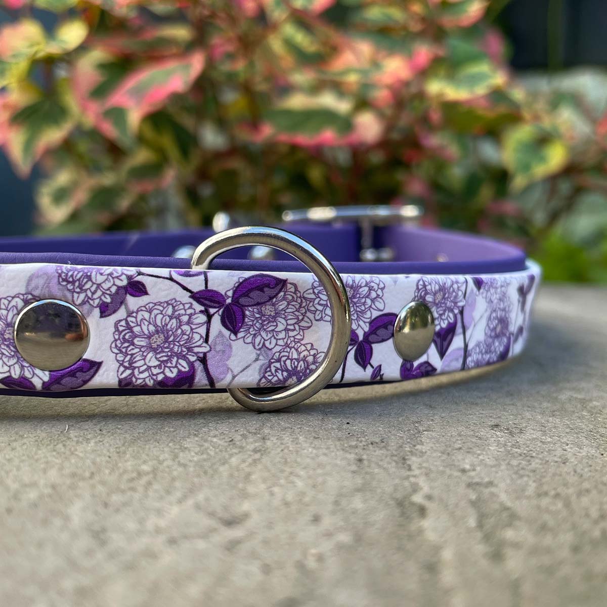 Purple Marigolds Patterned Dog Collar