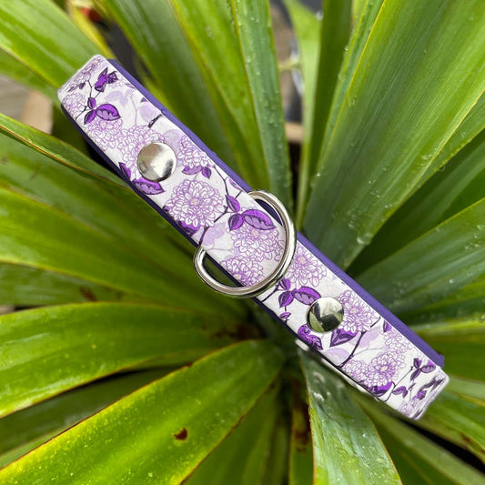 Purple Marigolds Patterned Dog Collar