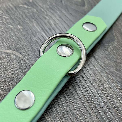 Sage Green Waterproof Dog Collar