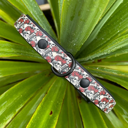 Skulls and Roses Patterned Dog Collar