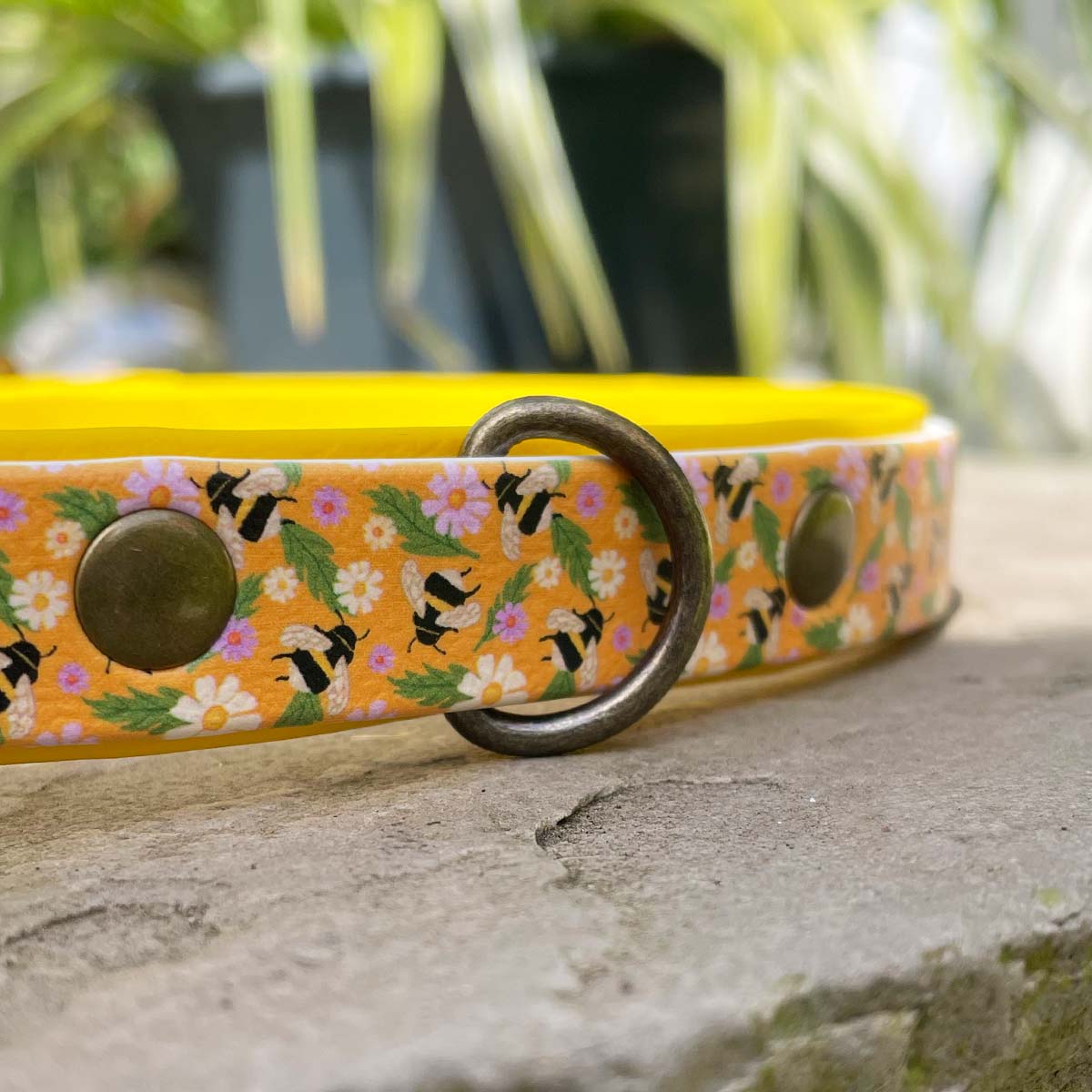 The Bees Knees Printed Yellow Dog Collar