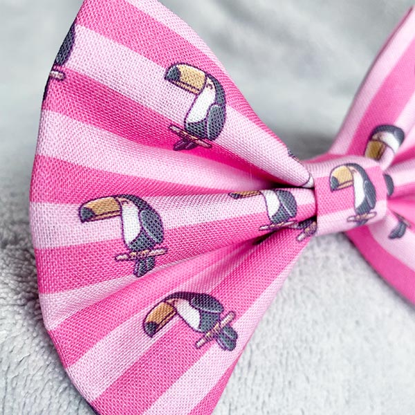 Toucan Do It Dog Bow Tie