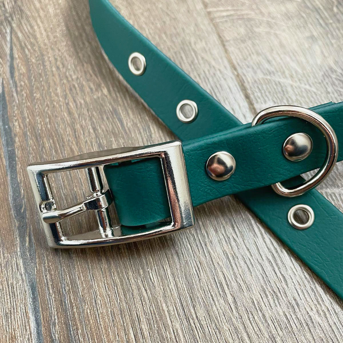 Forest Green Waterproof Dog Collar