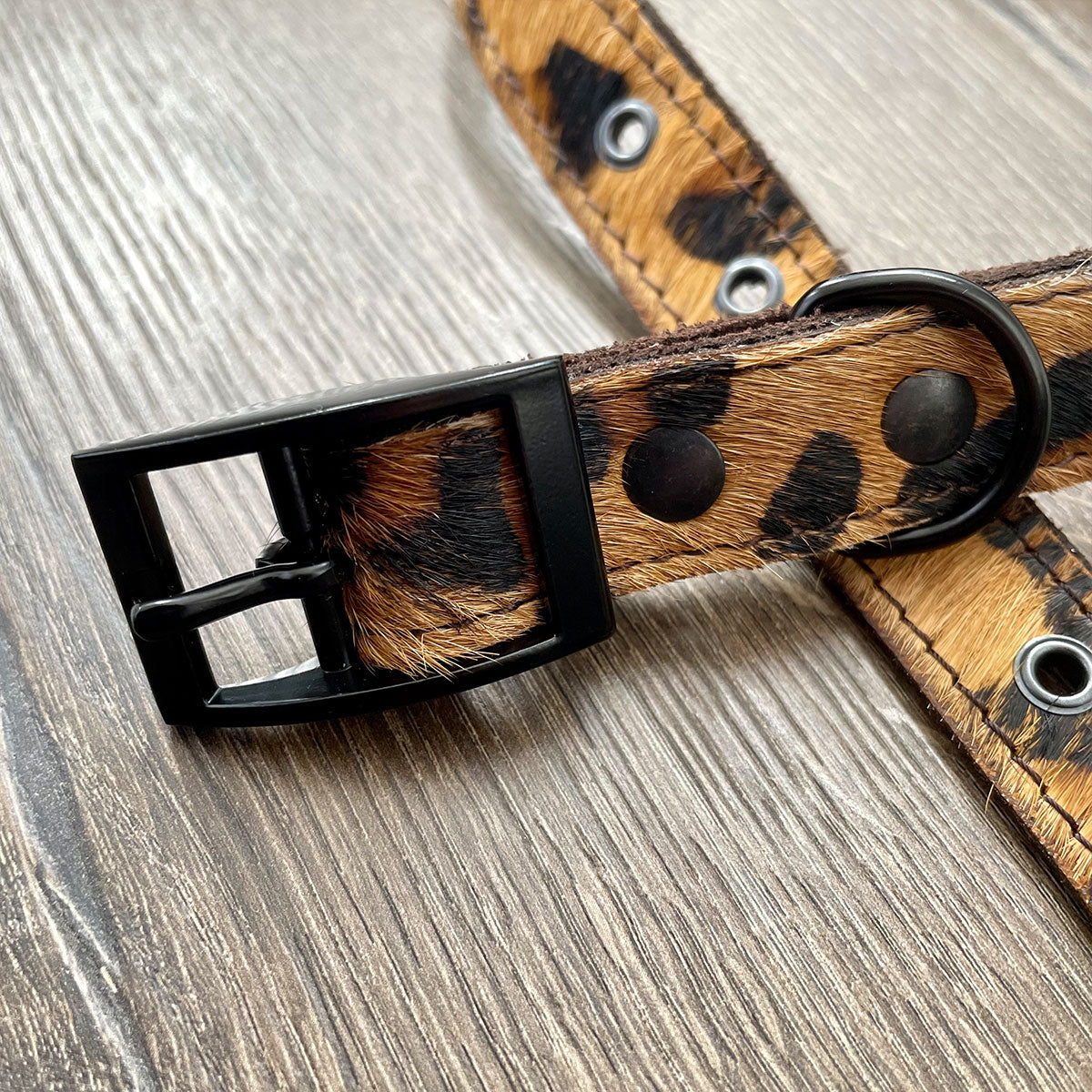 Leopard Print Leather Dog Collar