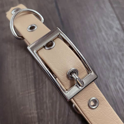 Light Gold Waterproof Dog Collar