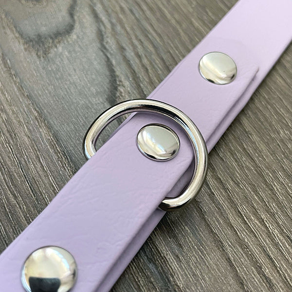 Lilac Waterproof Dog Collar