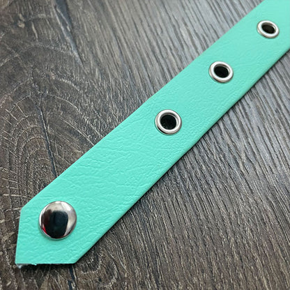 Mint Waterproof Dog Collar