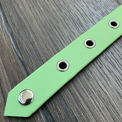 Pastel Green Waterproof Dog Collar