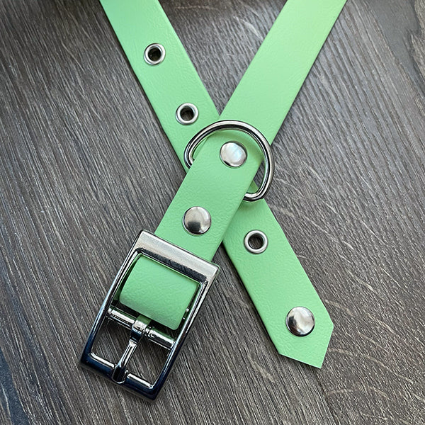 Pastel Green Waterproof Dog Collar