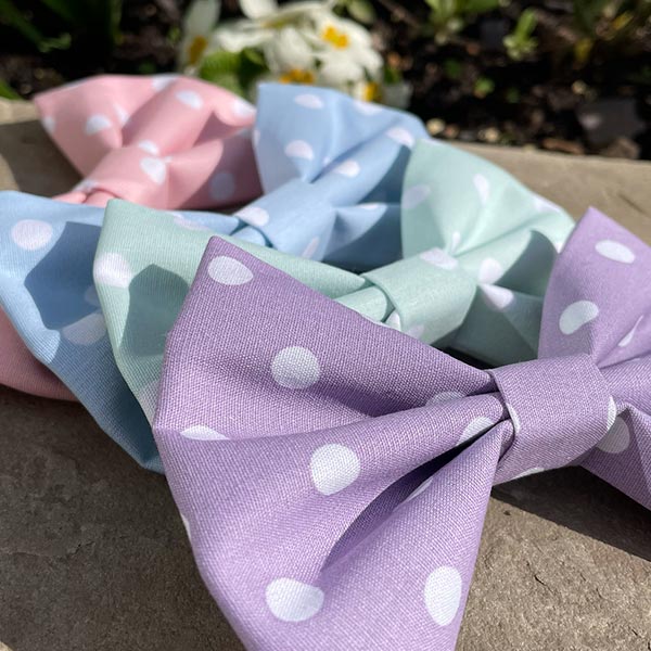 Baby Blue Polka Dot Dog Bow Tie