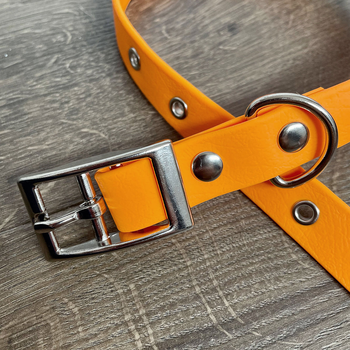 Orange Waterproof Dog Collar