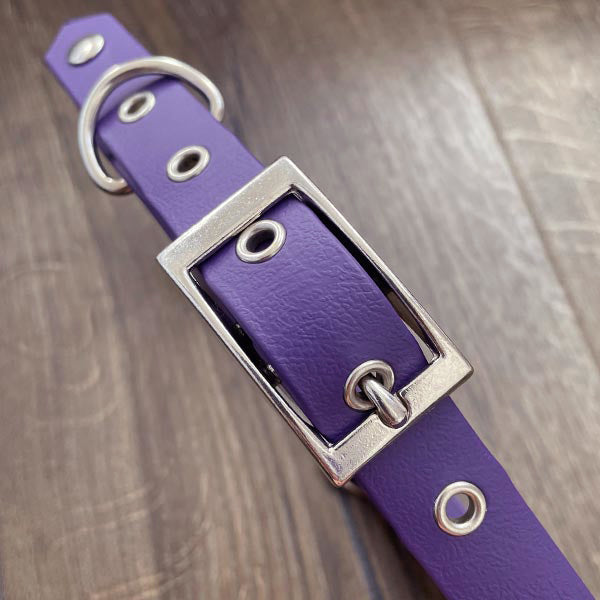 Purple Waterproof Dog Collar