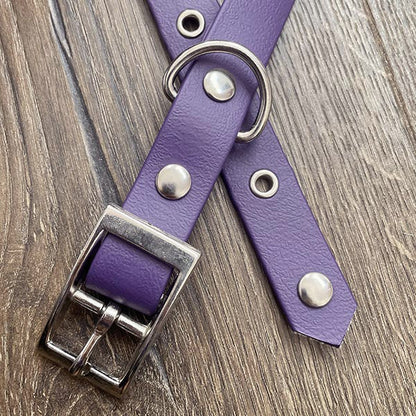 Purple Waterproof Dog Collar